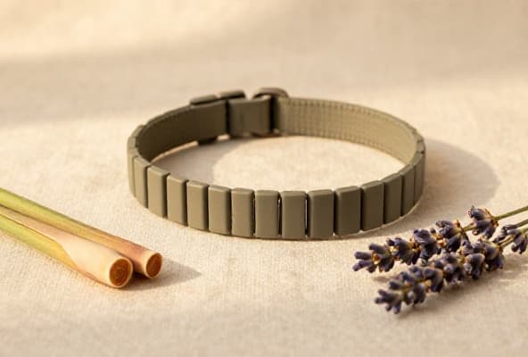 Lavender, lemongrass and collar on cream linen